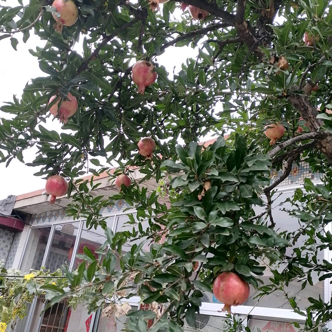 陈军