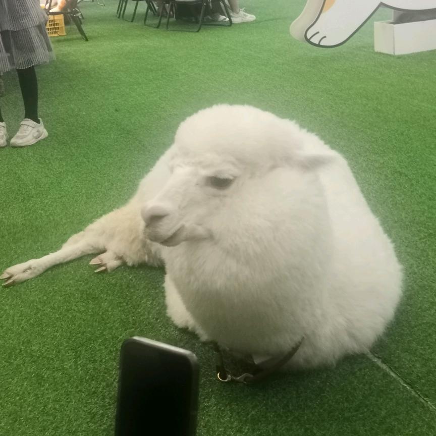 凌乱