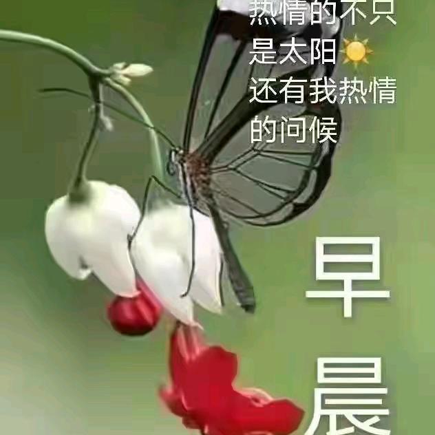 快乐的银