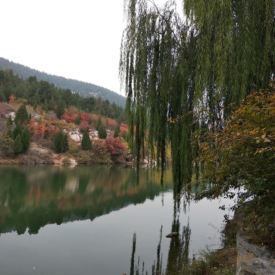 魁