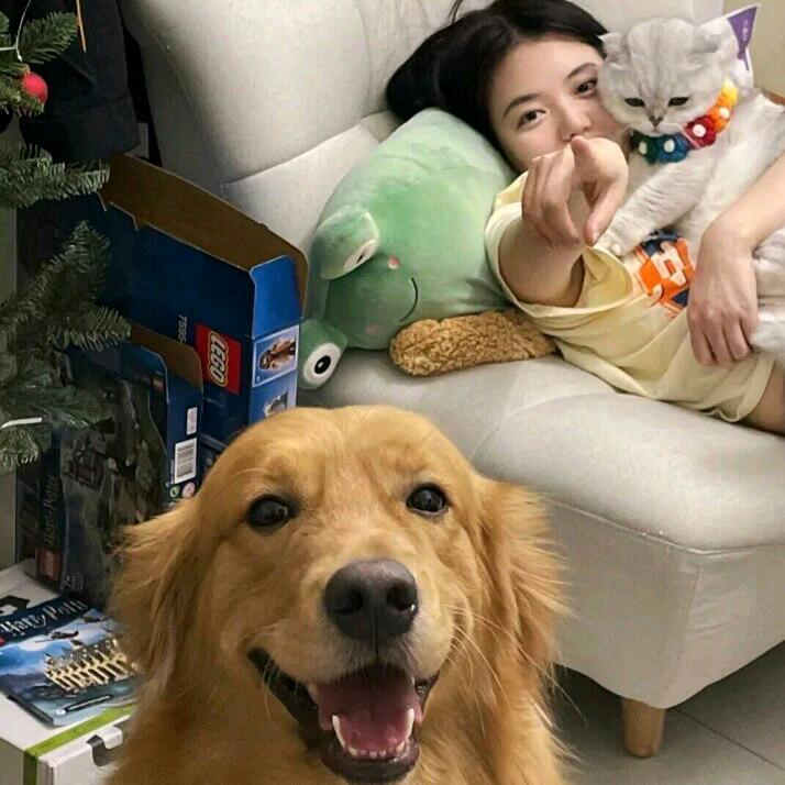 江鱼辰
