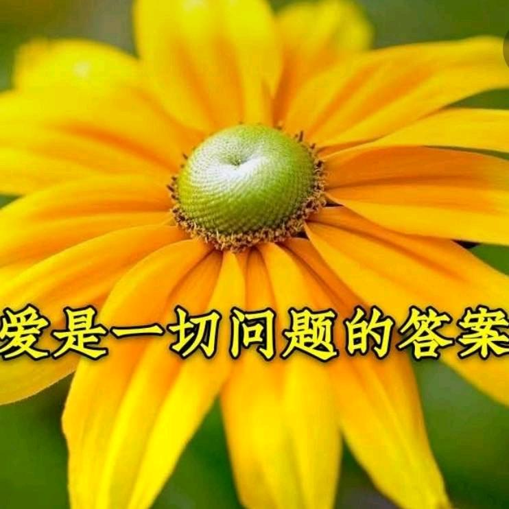 心想事成，
