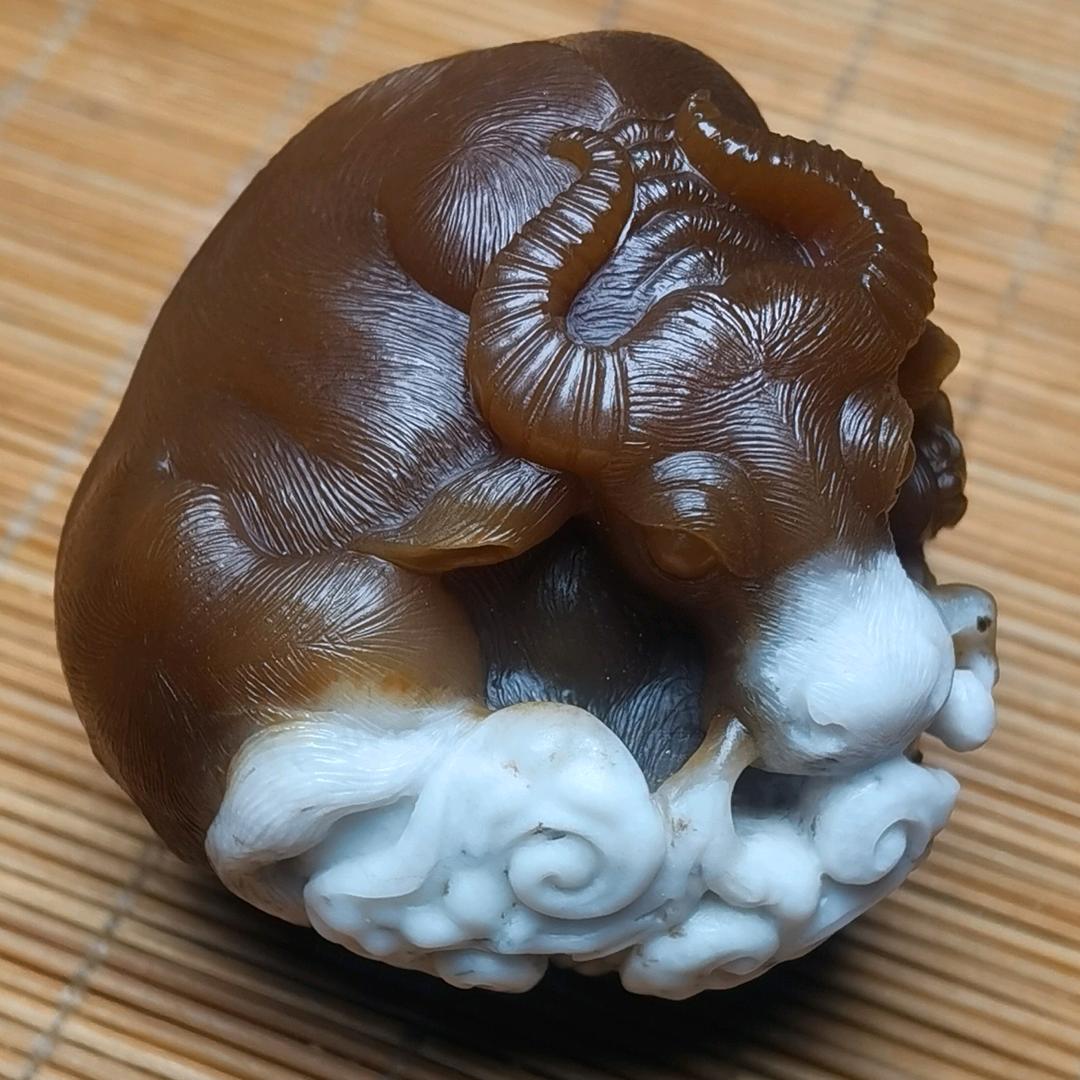 陕北哥