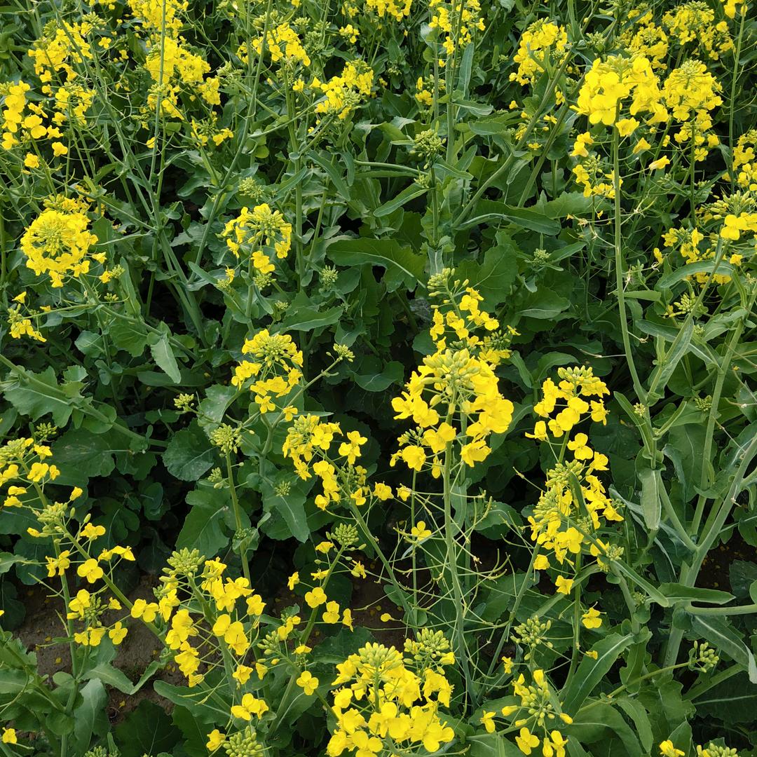 এ᭄ꦿ記憶ོྂཾ࿆࿐