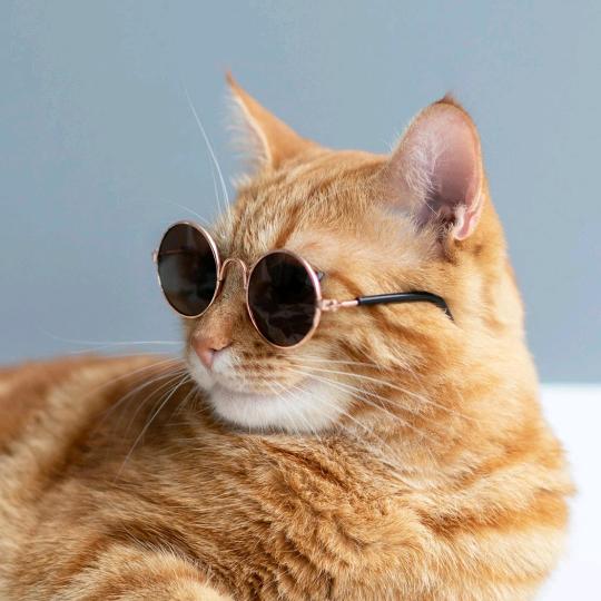 人要多干活，才能当富婆