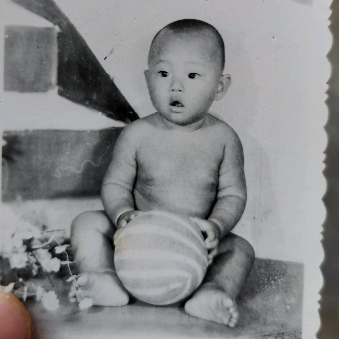 寻儿赵唐虎
