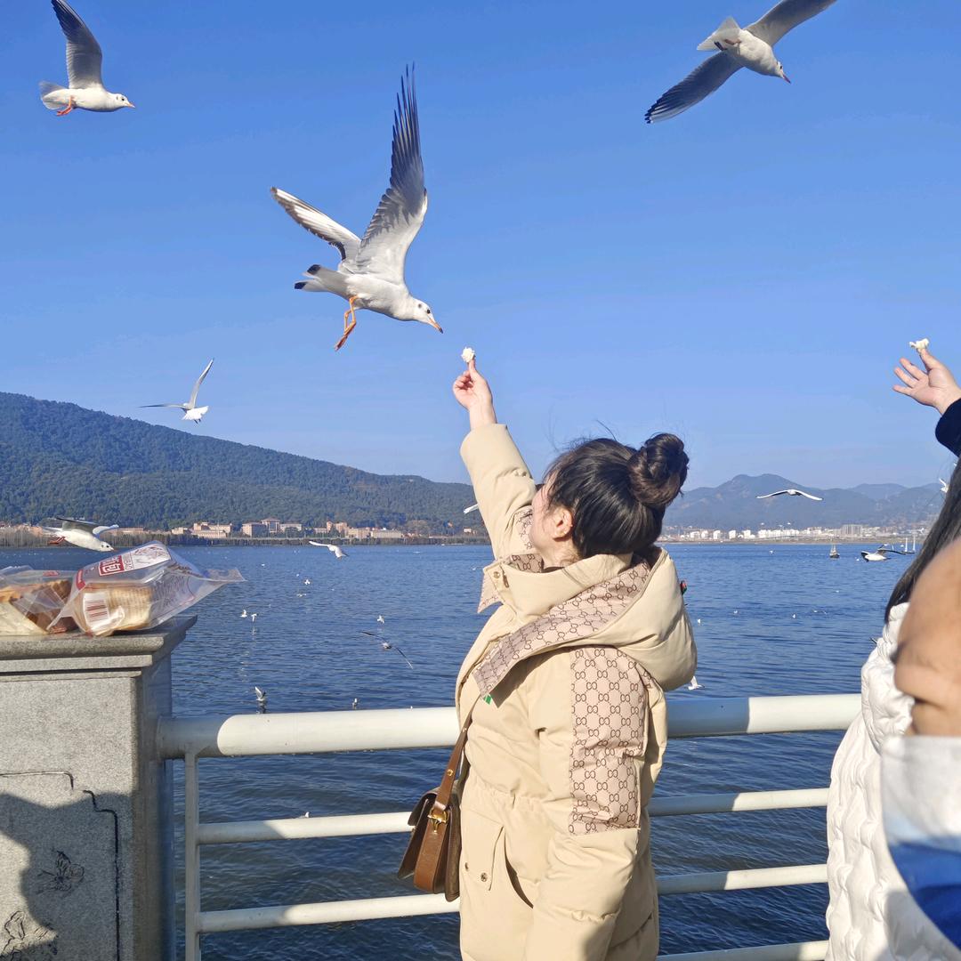 凯祥冲孔围挡冲孔护栏网