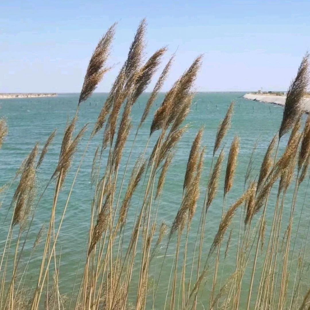 海口英语吴老师