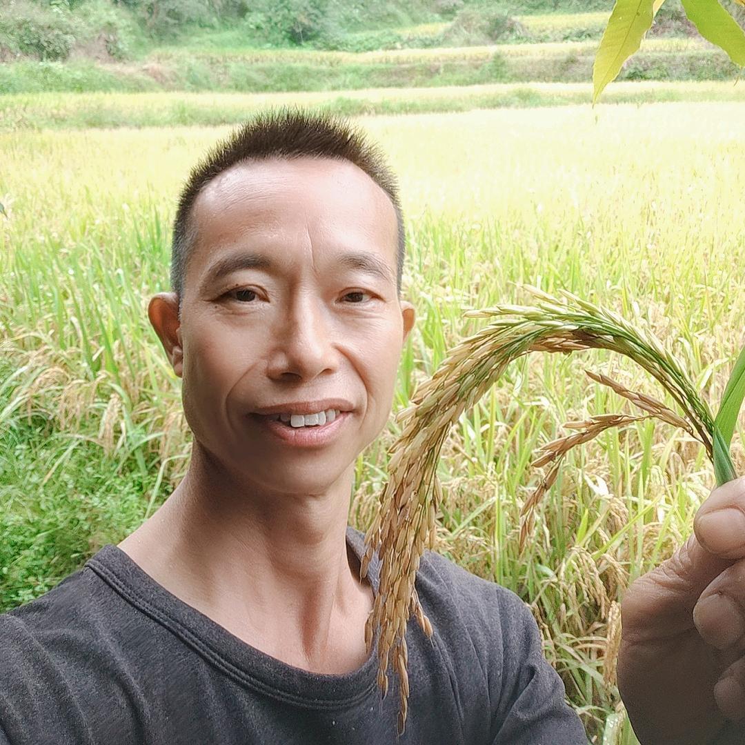 鸭王a农场