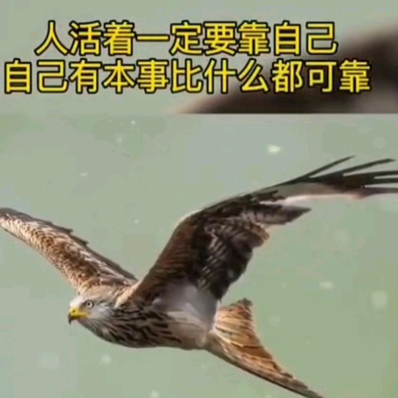 ☞无奈☜