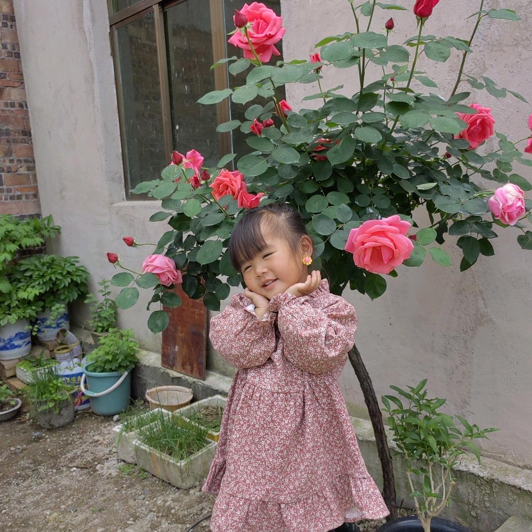 龙家人