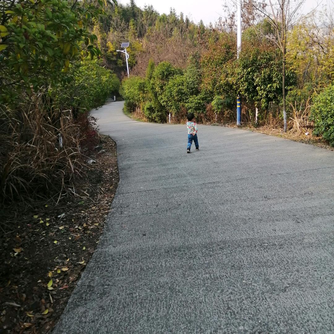 小雨田