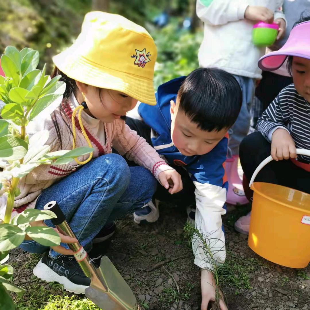 人生，如梦，初醒