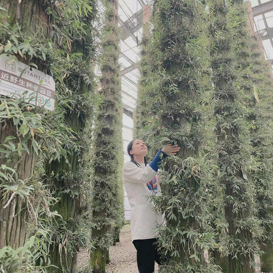 香烟爱上火柴小小