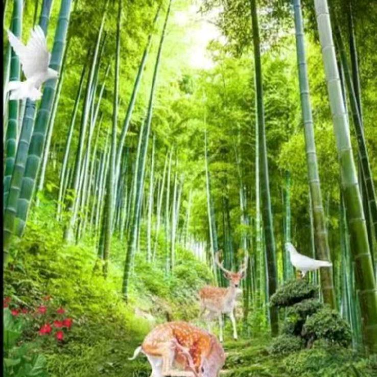 顺其自然吧