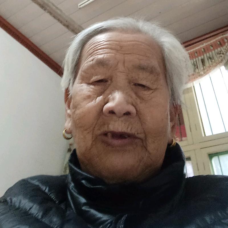 老夫人