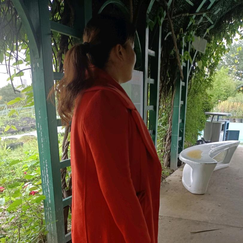不离不弃