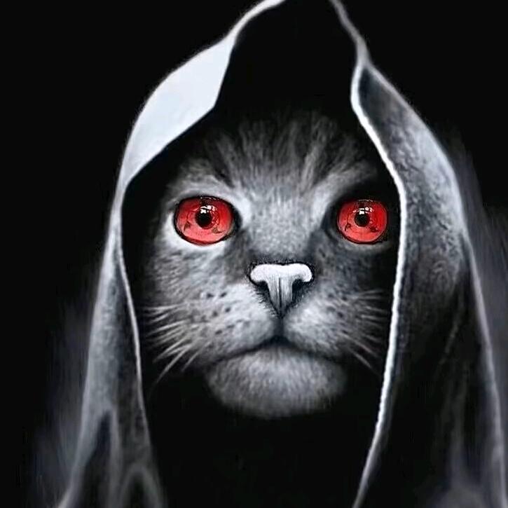 𝓪𝓯𝓯𝓮𝓬𝓽𝓲𝓸𝓷（恋