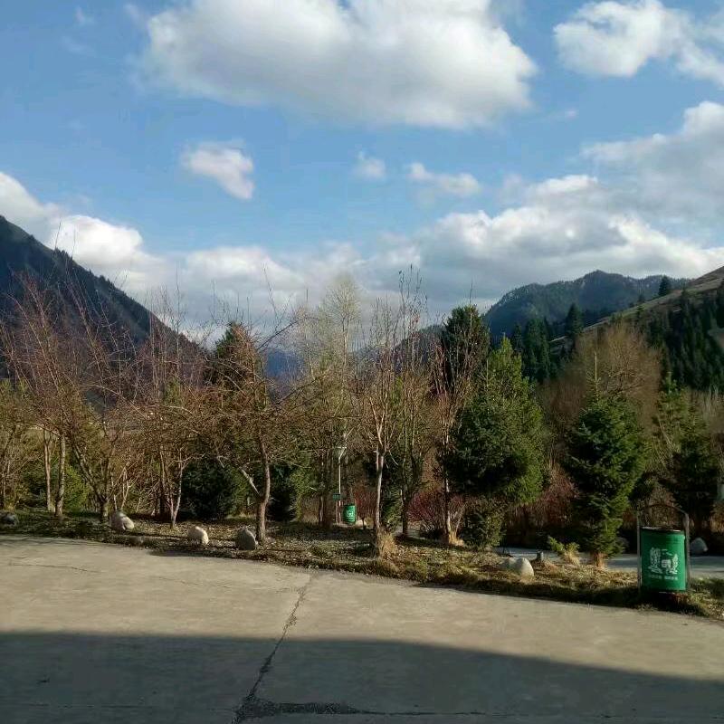 ★★飘泊★★