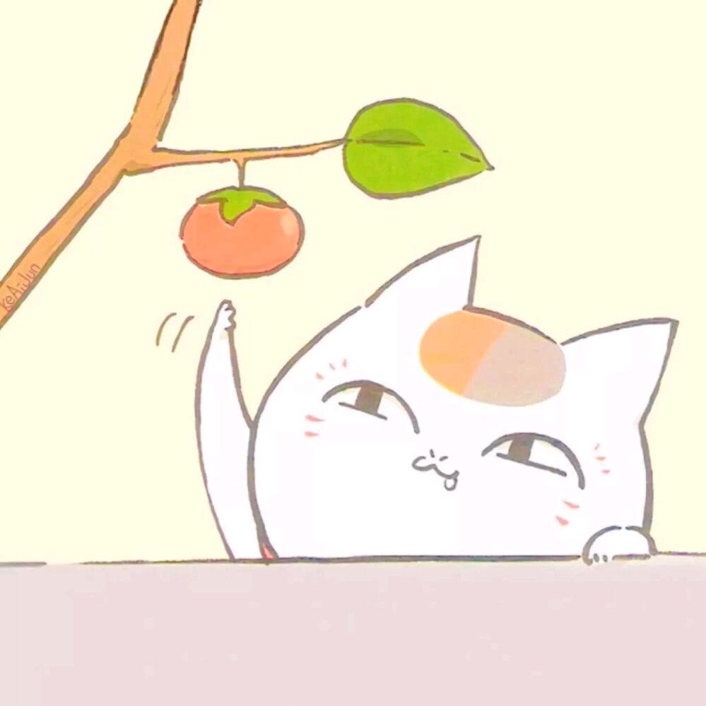 喵口三三