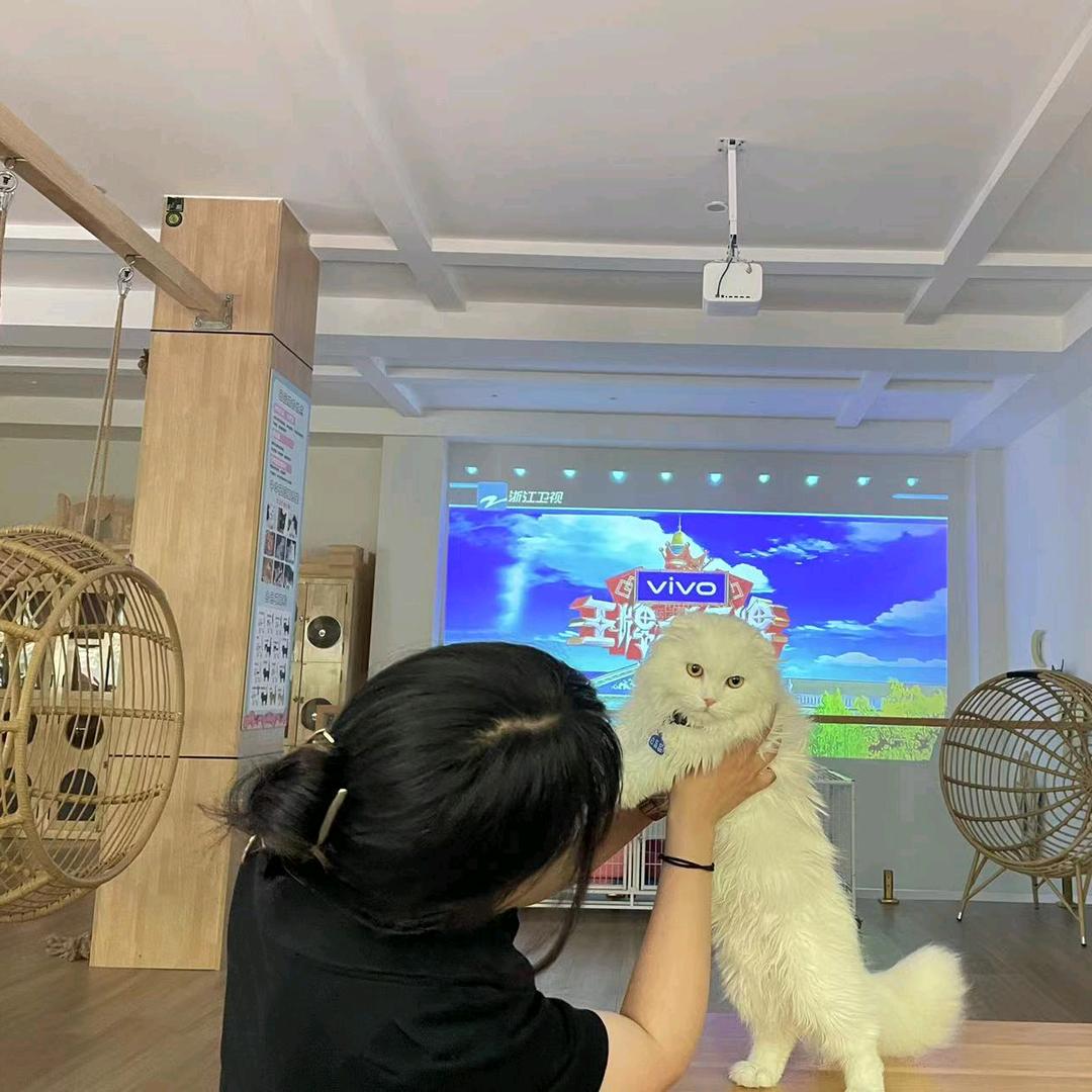🌝