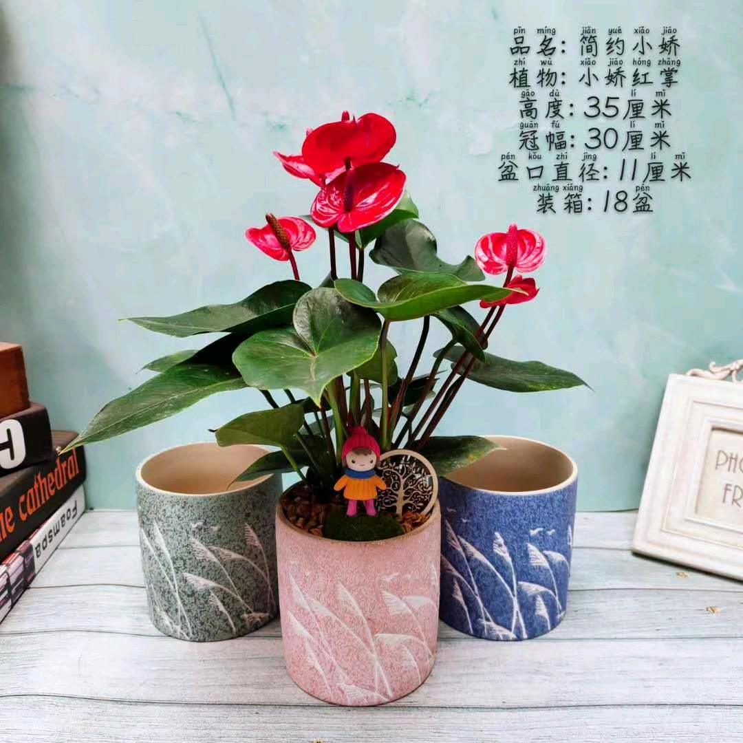 很久不见