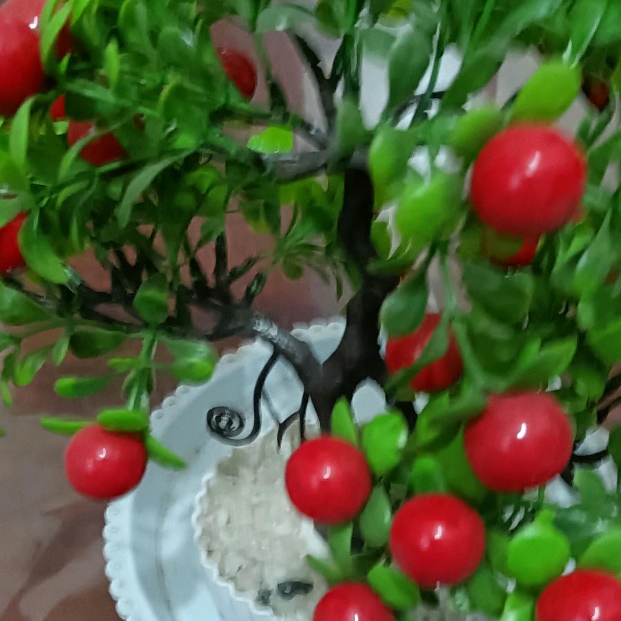 樱花浪漫.