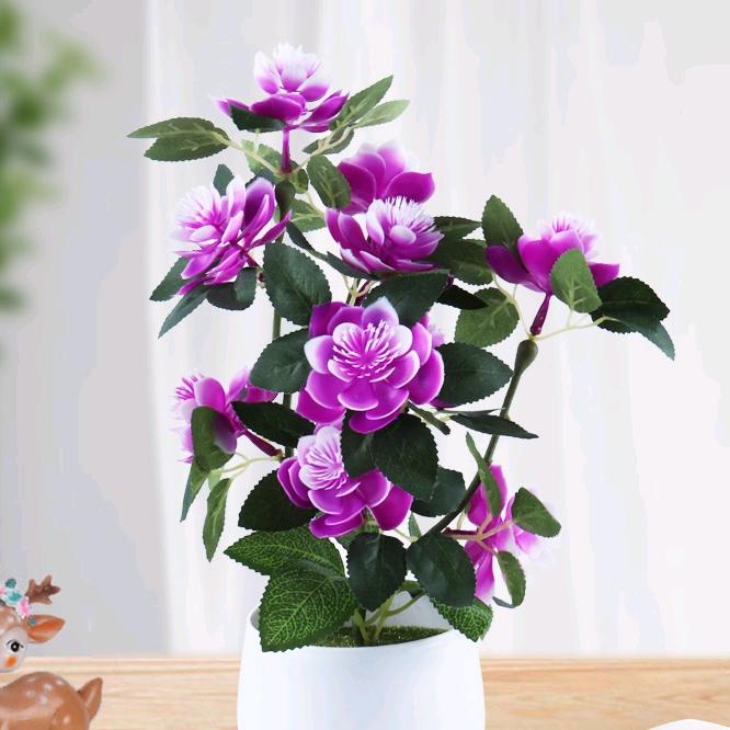 小舞画画