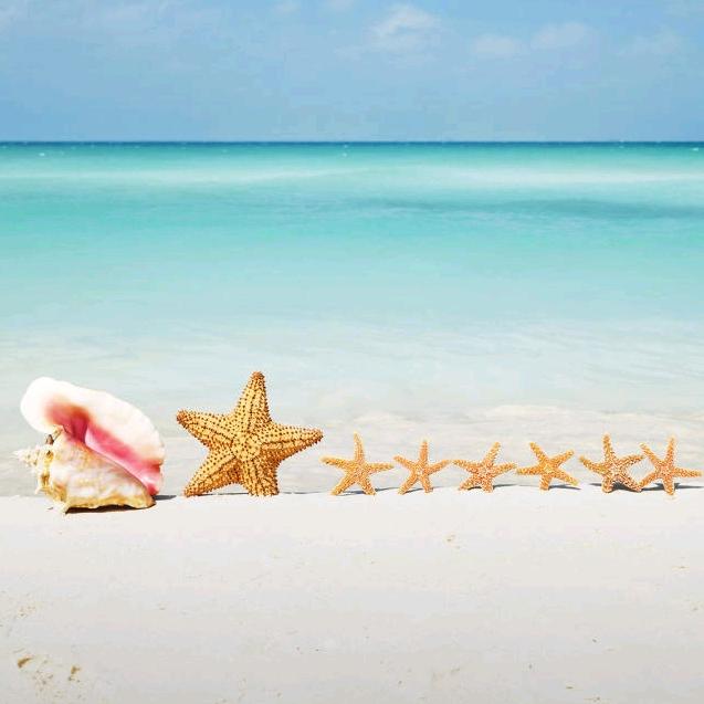 木子李🌻🌻🌻