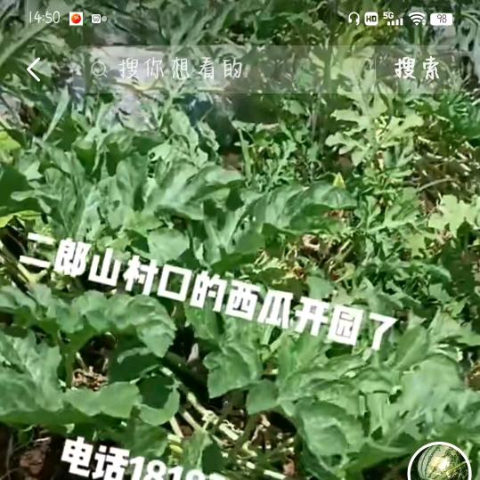山里人