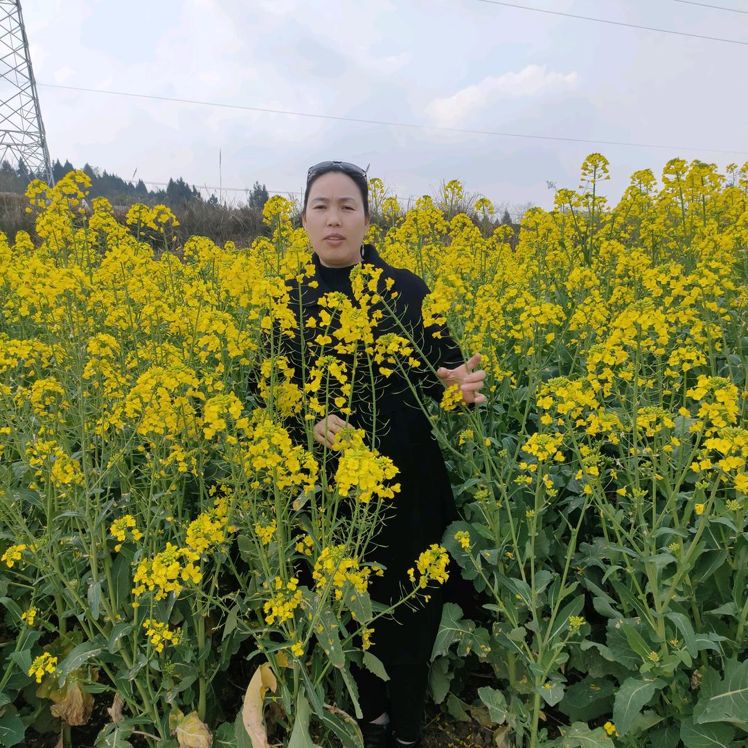 我的一切我做主