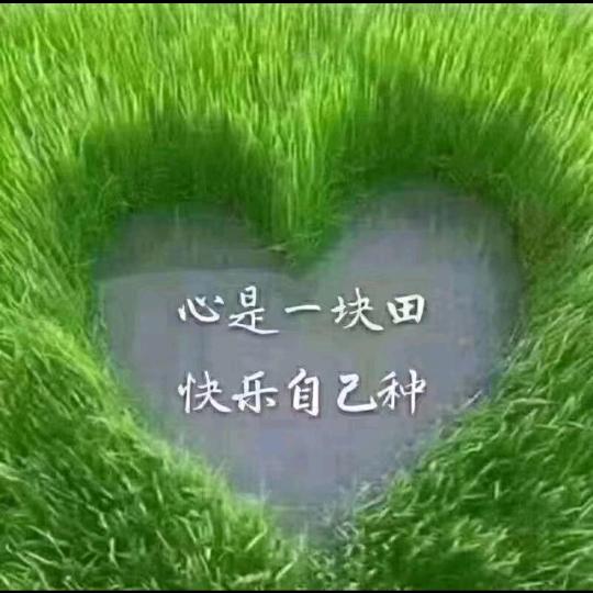 开心丁丁
