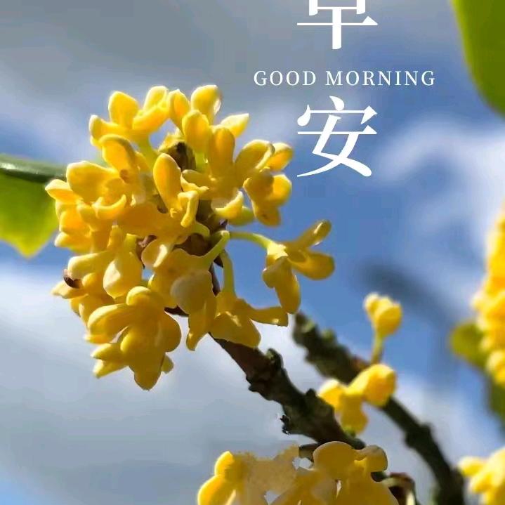 朋友交心