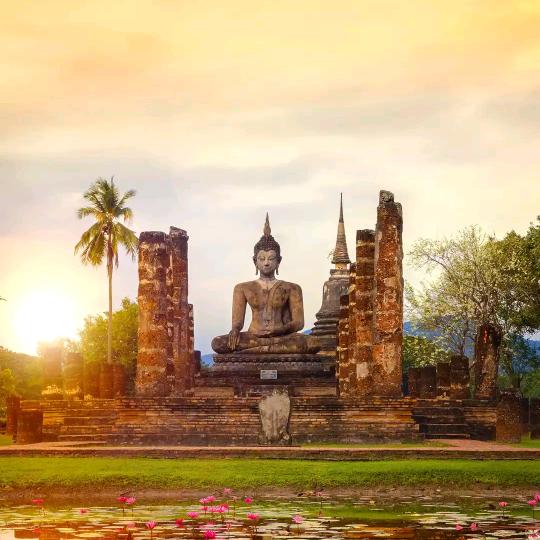 @收墙壁开关～电磁炉～杂小充#