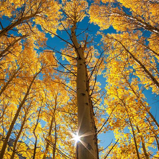 昊哥（手机摄影)