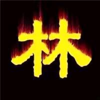 林少爷