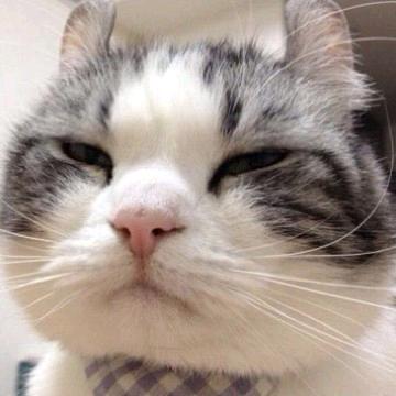 小安