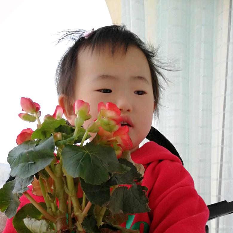 夕阳下的约定
