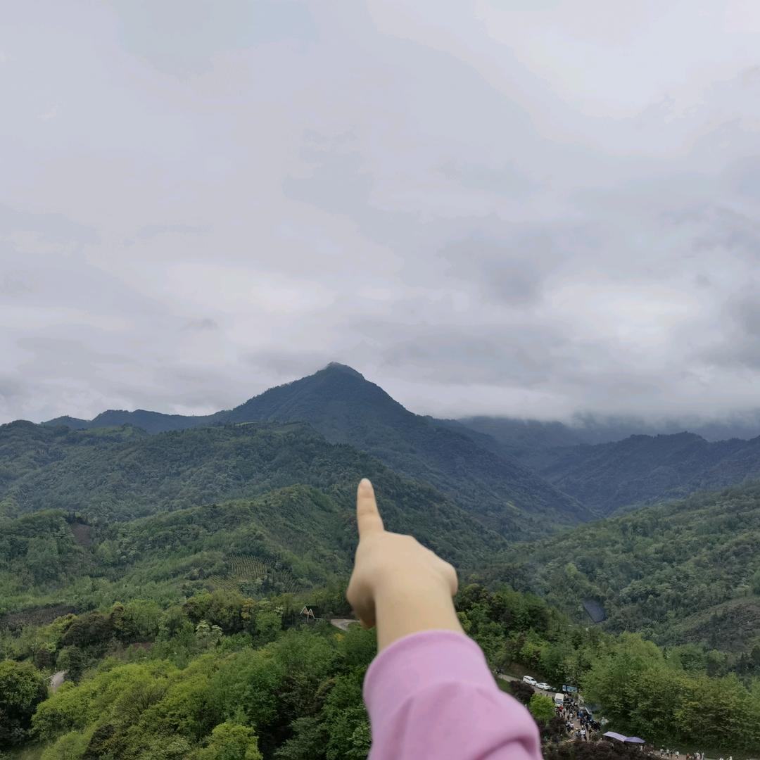 han汤圆