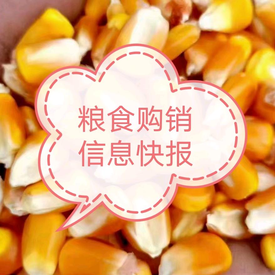上飞粮