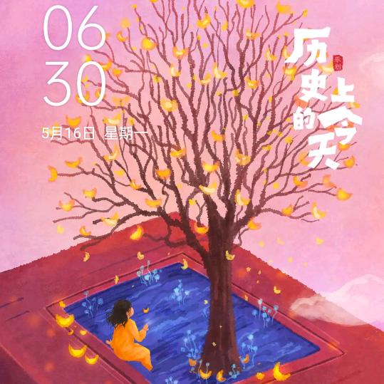 云,闯天下,专业端菜队