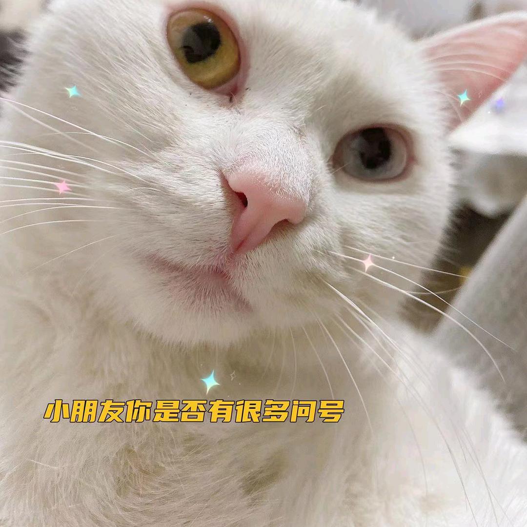何某人、