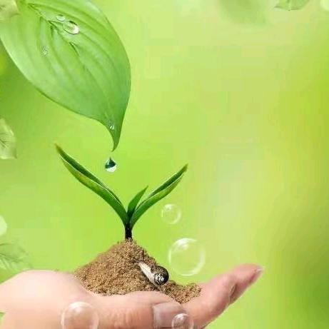 情感故事.传播正能量