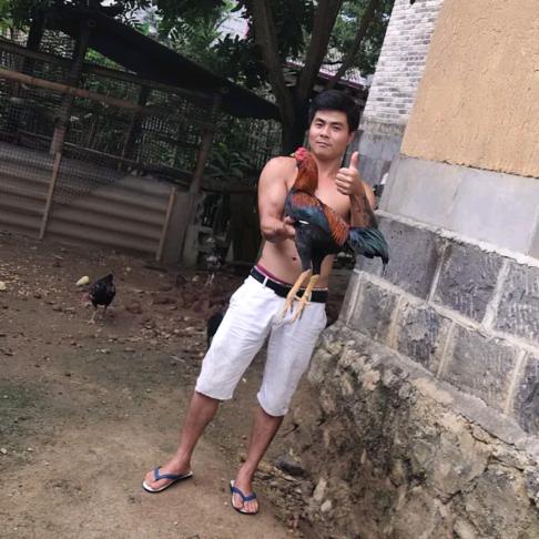 斗鸡爱好小马哥