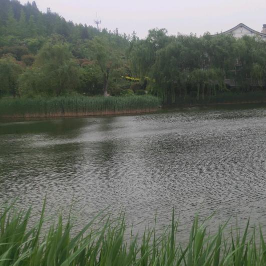 登封市市区晓丽翰皇洗护店