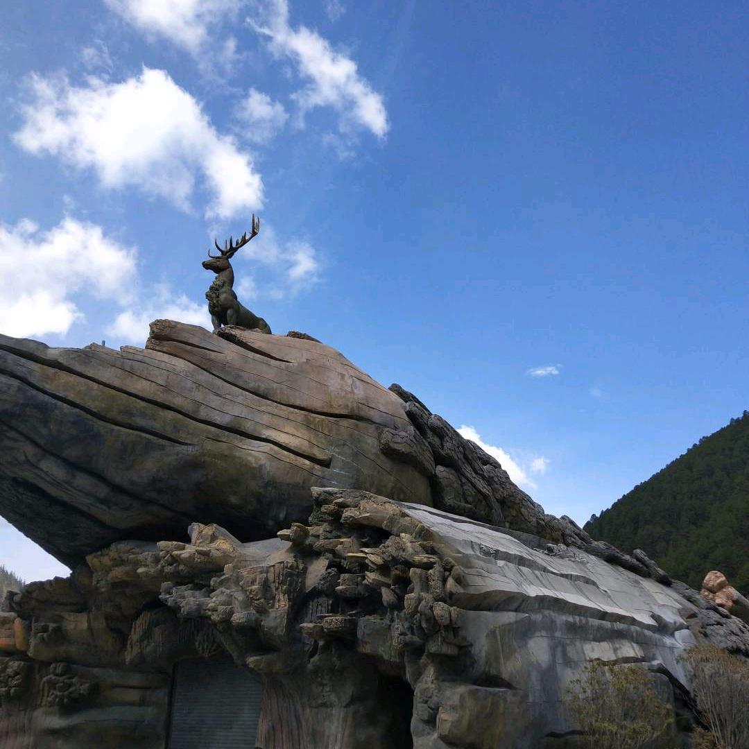 华宁鸣涧佛手