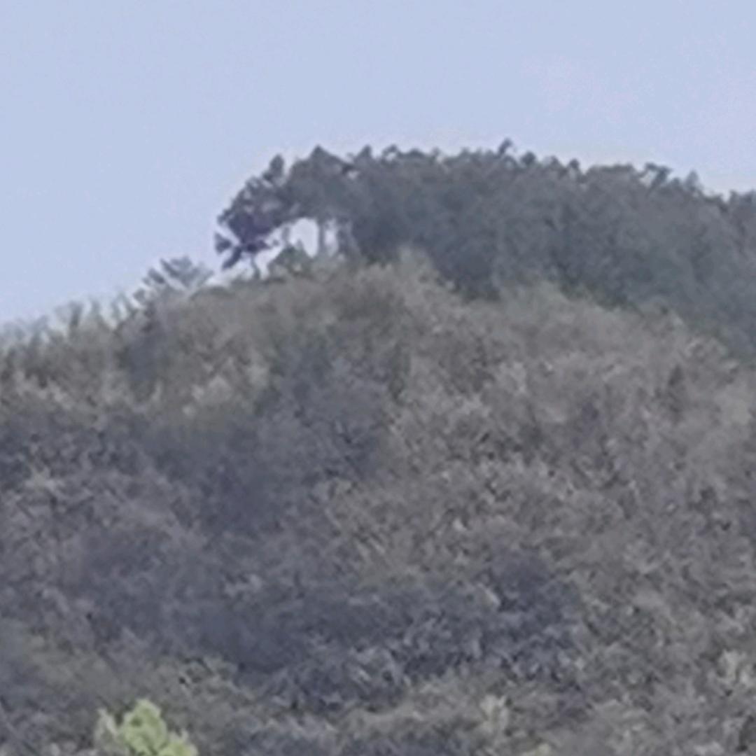 老顽童🐋🐋🐋