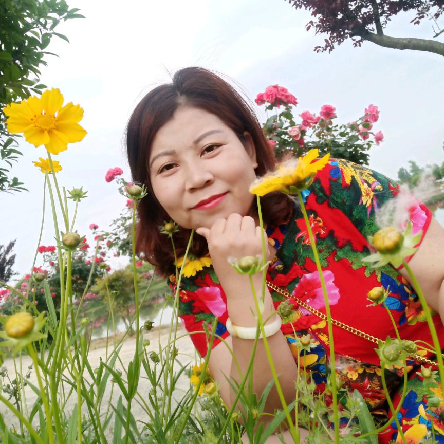 清水芙蓉