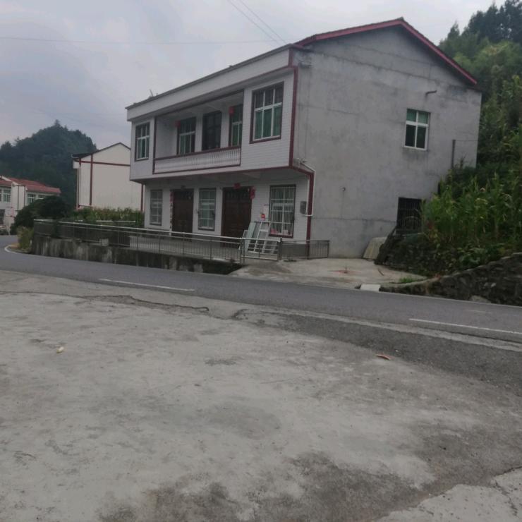 秦大宝