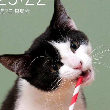 天池之湖
